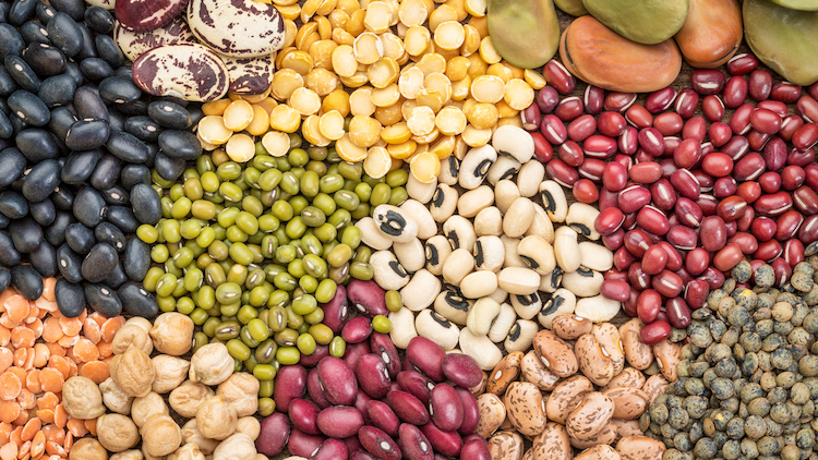 5 things to know about lectins & leaky gut